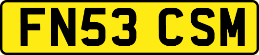 FN53CSM