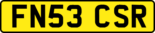 FN53CSR