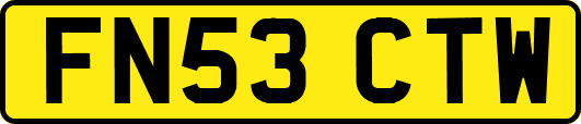 FN53CTW