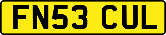 FN53CUL