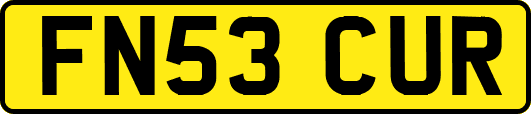 FN53CUR