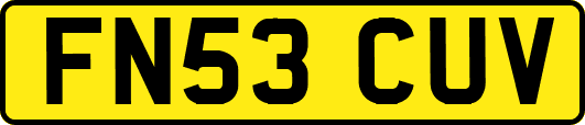 FN53CUV