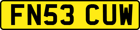 FN53CUW