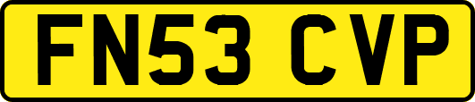 FN53CVP