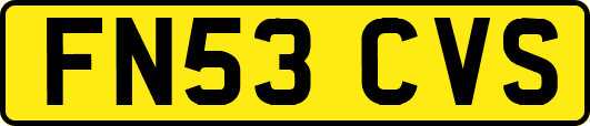 FN53CVS