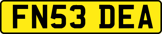 FN53DEA