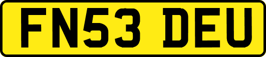 FN53DEU
