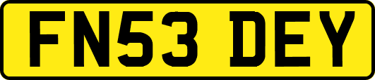 FN53DEY