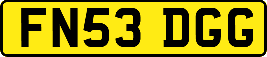 FN53DGG