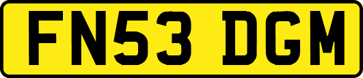 FN53DGM
