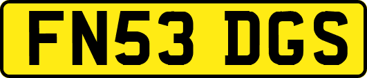 FN53DGS