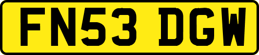 FN53DGW