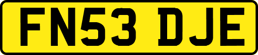FN53DJE
