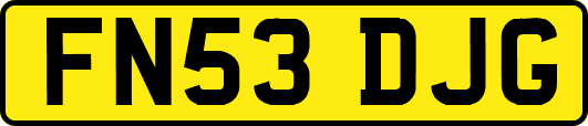FN53DJG