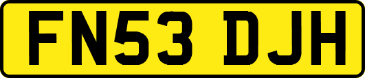 FN53DJH