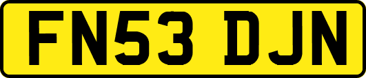 FN53DJN