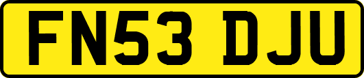 FN53DJU