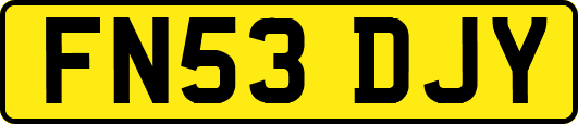 FN53DJY