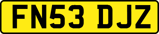 FN53DJZ