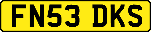 FN53DKS