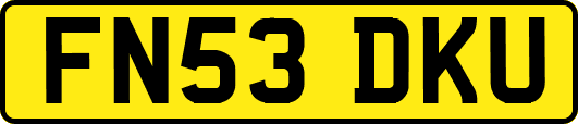 FN53DKU