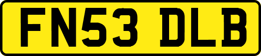 FN53DLB