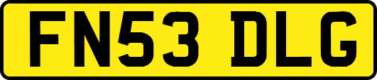FN53DLG