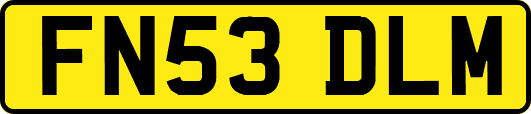 FN53DLM