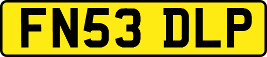 FN53DLP