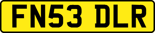FN53DLR