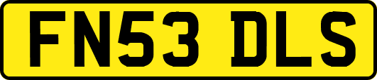FN53DLS