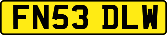FN53DLW