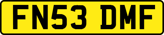FN53DMF