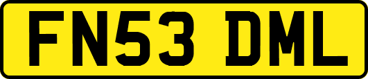 FN53DML
