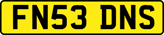 FN53DNS