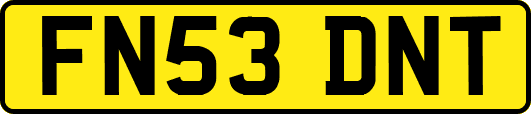FN53DNT