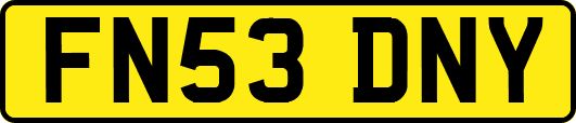 FN53DNY