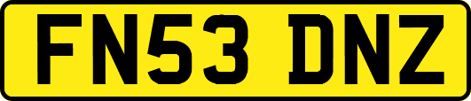 FN53DNZ