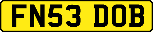 FN53DOB