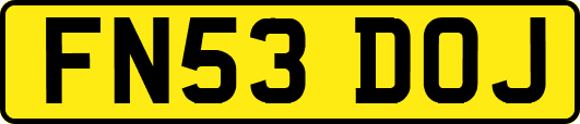 FN53DOJ
