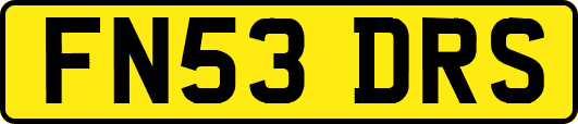 FN53DRS