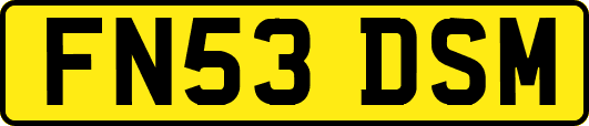 FN53DSM