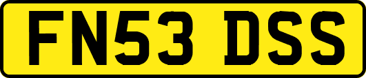 FN53DSS