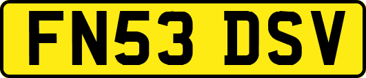 FN53DSV