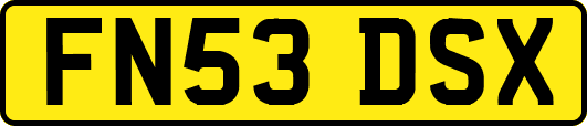 FN53DSX