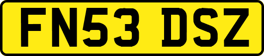 FN53DSZ