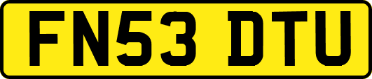FN53DTU