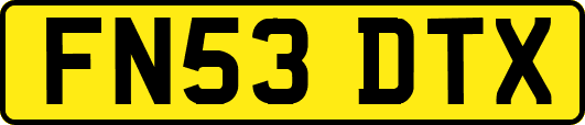 FN53DTX