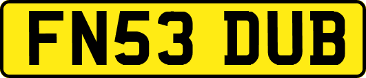 FN53DUB