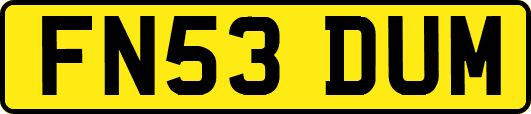 FN53DUM